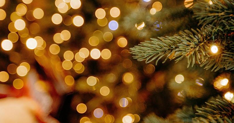 Christmas with Cancer Card lights and tree